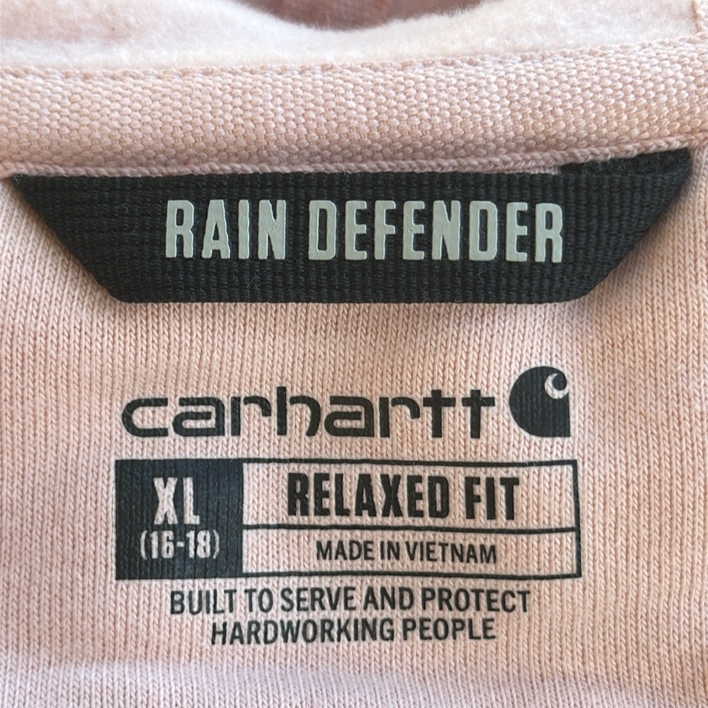 Carhartt Rain Defender Relaxed Fit Midweight Graphic Hoodie - Picture 13 of 15